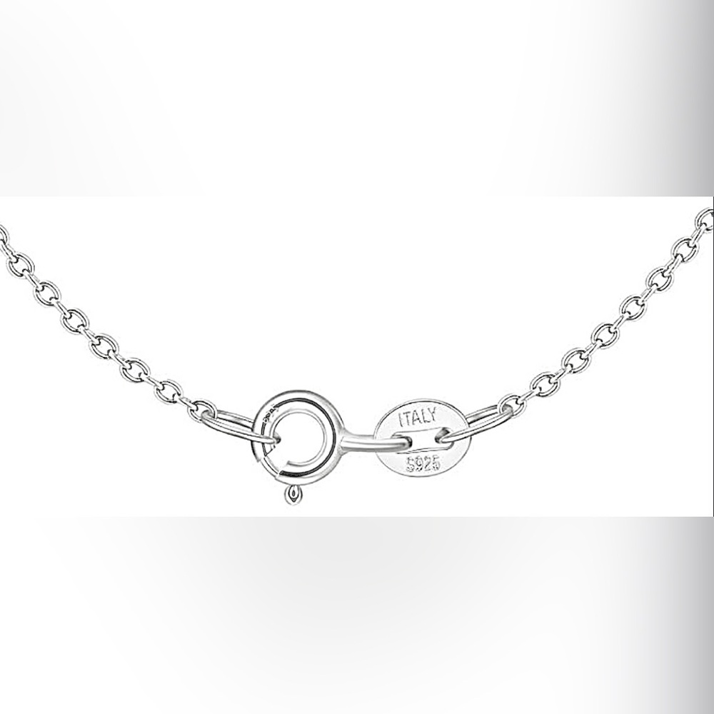 Tiffany & Co. 925 Sterling Silver Return to Tiffany Large Circle Tag Necklace - Picture 5 of 5
